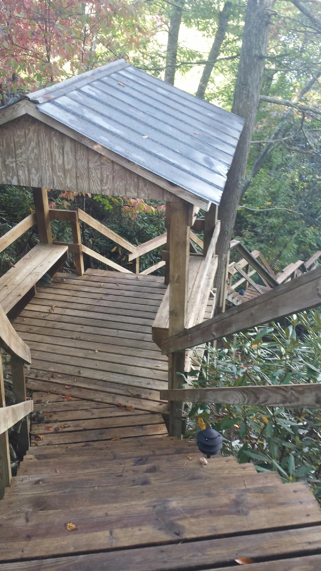 Metal roofed shelter over wooden steps on a wooded walkway — Skylight Repair & Installation work by our crew in Mount Pleasant