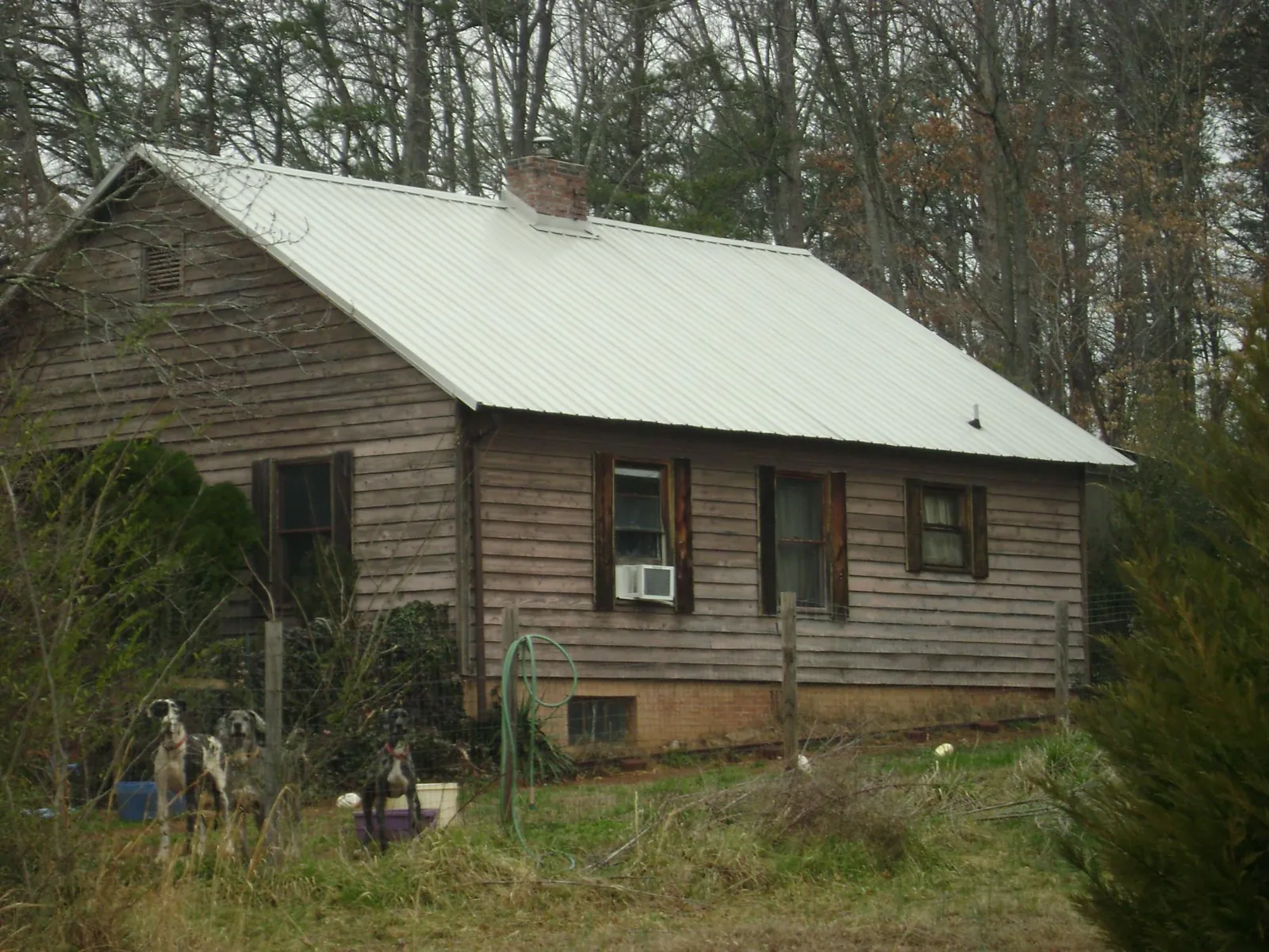 White metal roof on an old wood sided farmhouse, from a Asphalt Shingle Roof Repair job in Mount Pleasant